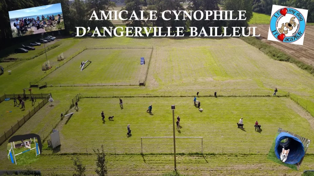 amicale cynophile angerville bailleul