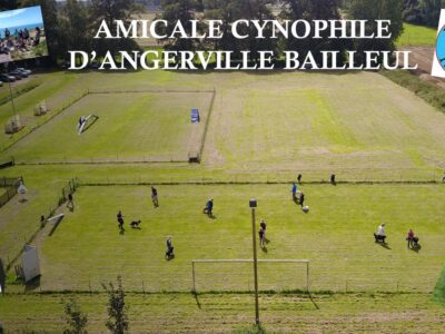 Amicale cynophile Angerville-Bailleul